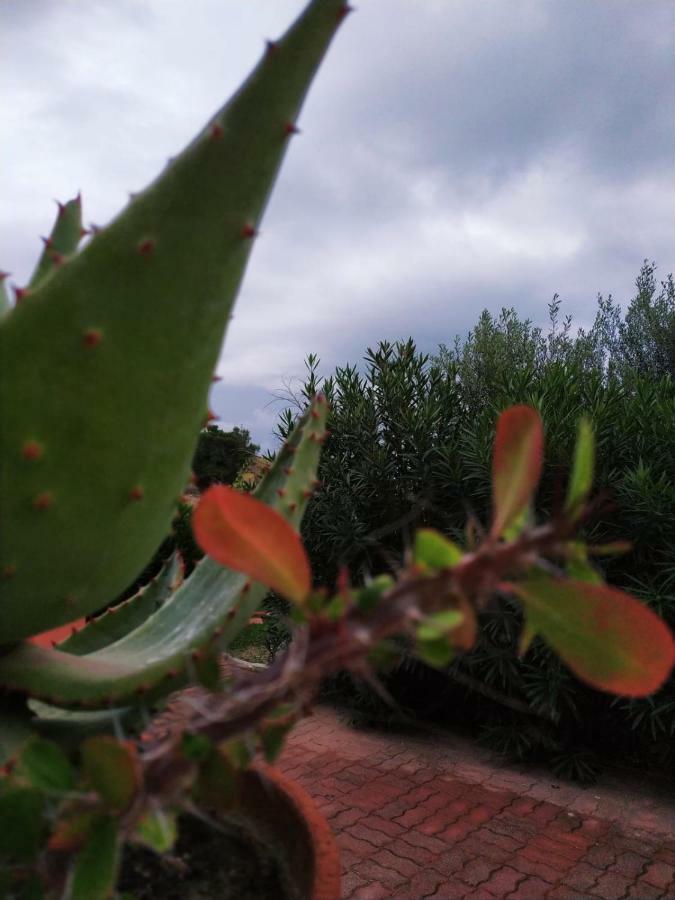 Casa Vacanza Rosariomaria Realmonte Eksteriør billede
